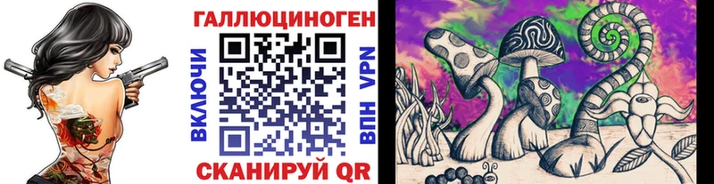 Псилоцибиновые грибы GOLDEN TEACHER Арск