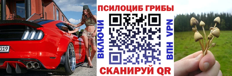 закладки blacksprut ССЫЛКА Псилоцибиновые грибы Cubensis Арск